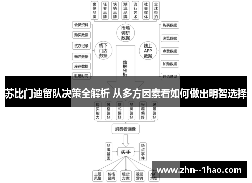 苏比门迪留队决策全解析 从多方因素看如何做出明智选择