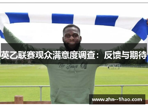 英乙联赛观众满意度调查：反馈与期待